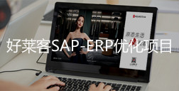 2020年恒峰g22SAP-ERP优化项目招标公告